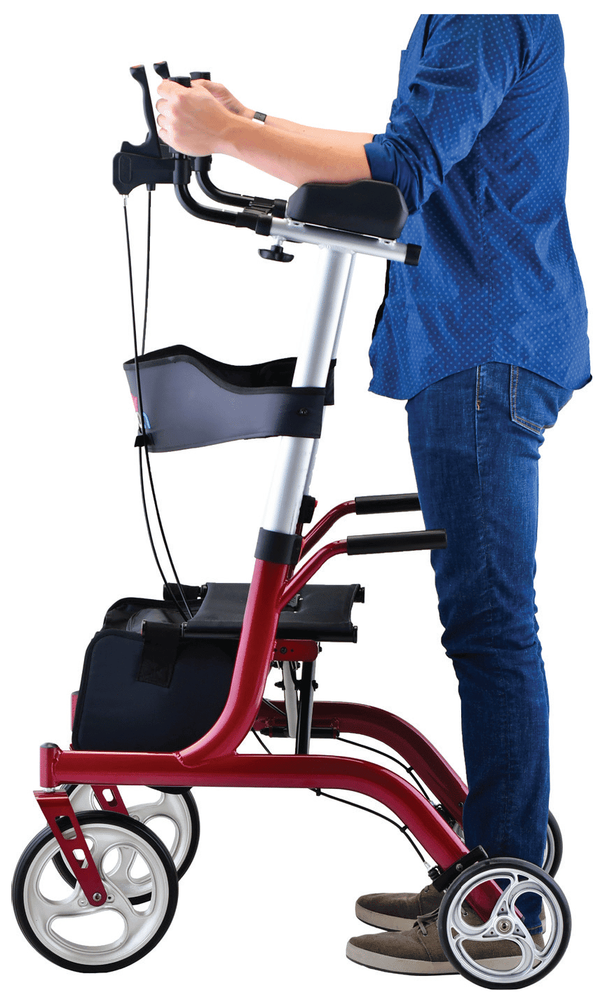 Phoenix Rise Up Walker Upright Position